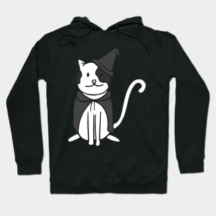 Halloween Costume Cat Wizard Witch Hoodie